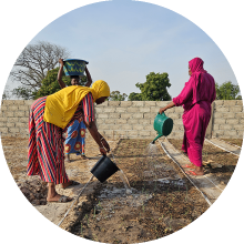 Vrouwentuin Manna, Gambia. Waar vrouwen hun eigen groente en fruit verbouwen